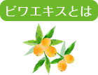 ビワエキスとは